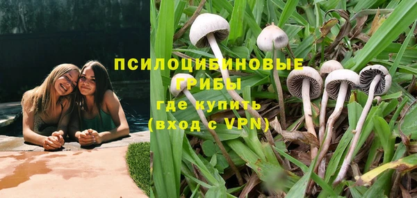 марки lsd Аркадак