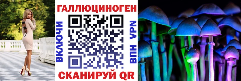 где купить   Ивдель  Псилоцибиновые грибы MAGIC MUSHROOMS 